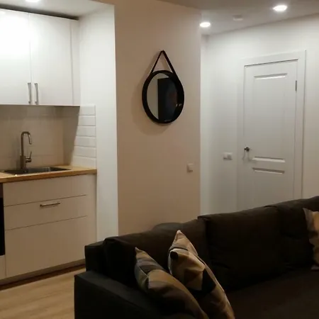 Elegant Close To The Old Town * Wilna