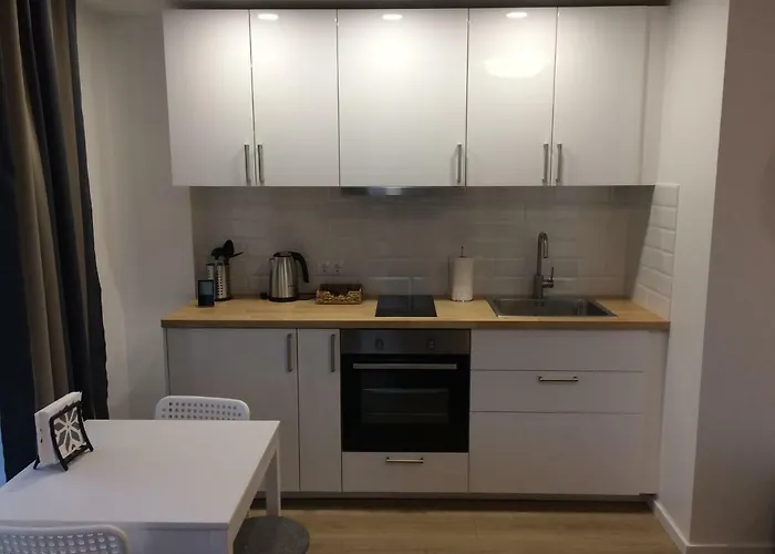 Elegant Close To The Old Town Butas