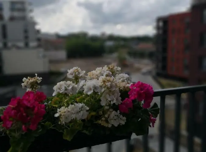 Elegant Close To The Old Town דירה